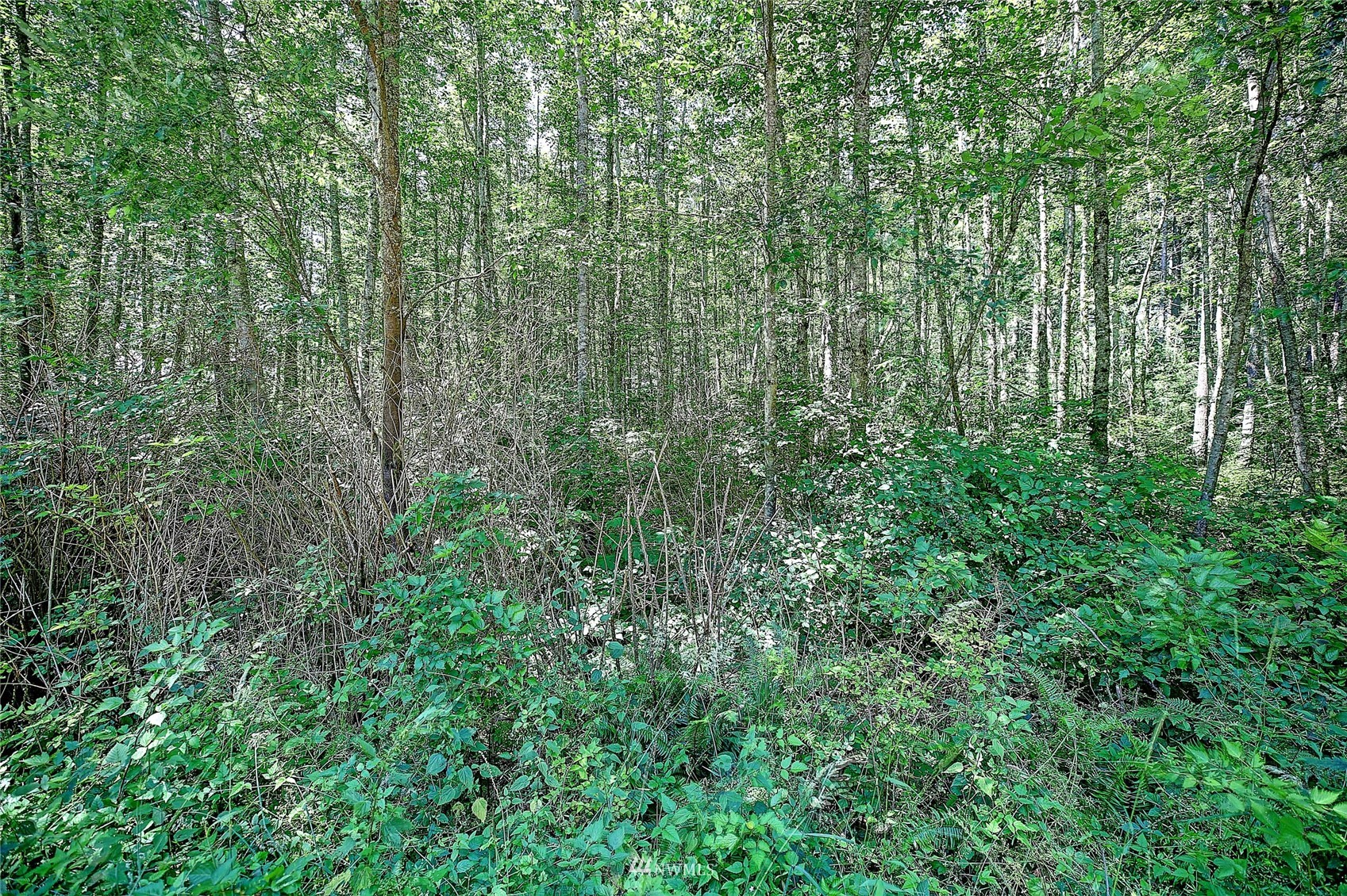 229 North Camano Ridge Road Camano Island, WA 98282 - Photo 10 of 14 Gallery Image 10