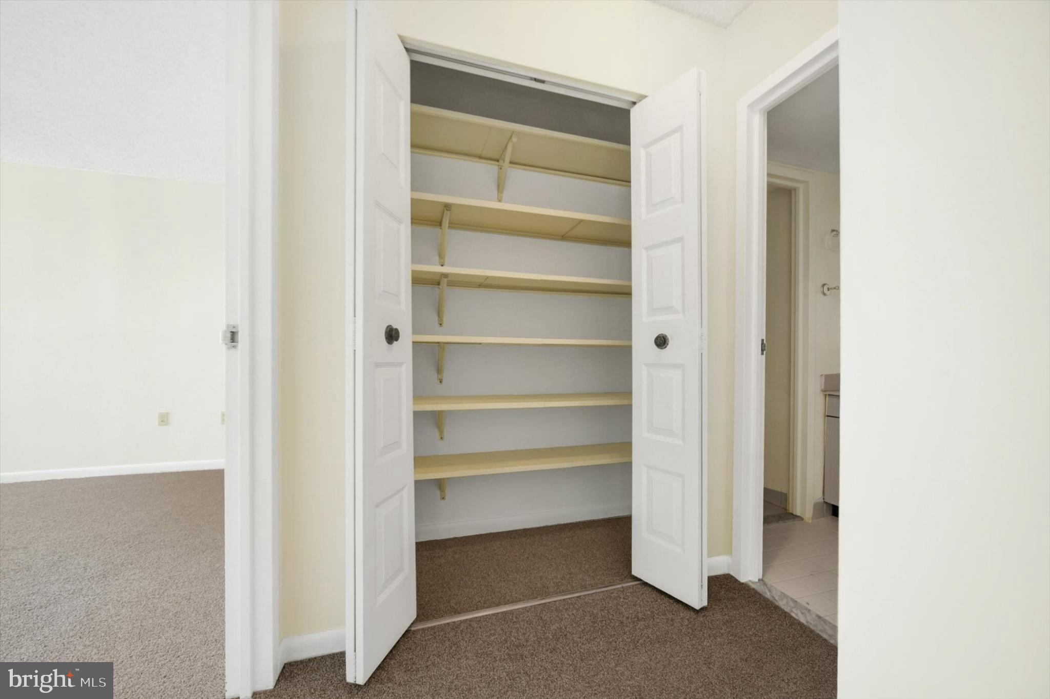 205 East Joppa Road, Unit 1604 Towson, MD 21286 - Photo 14 of 19 Spacious closet with ample shelving.