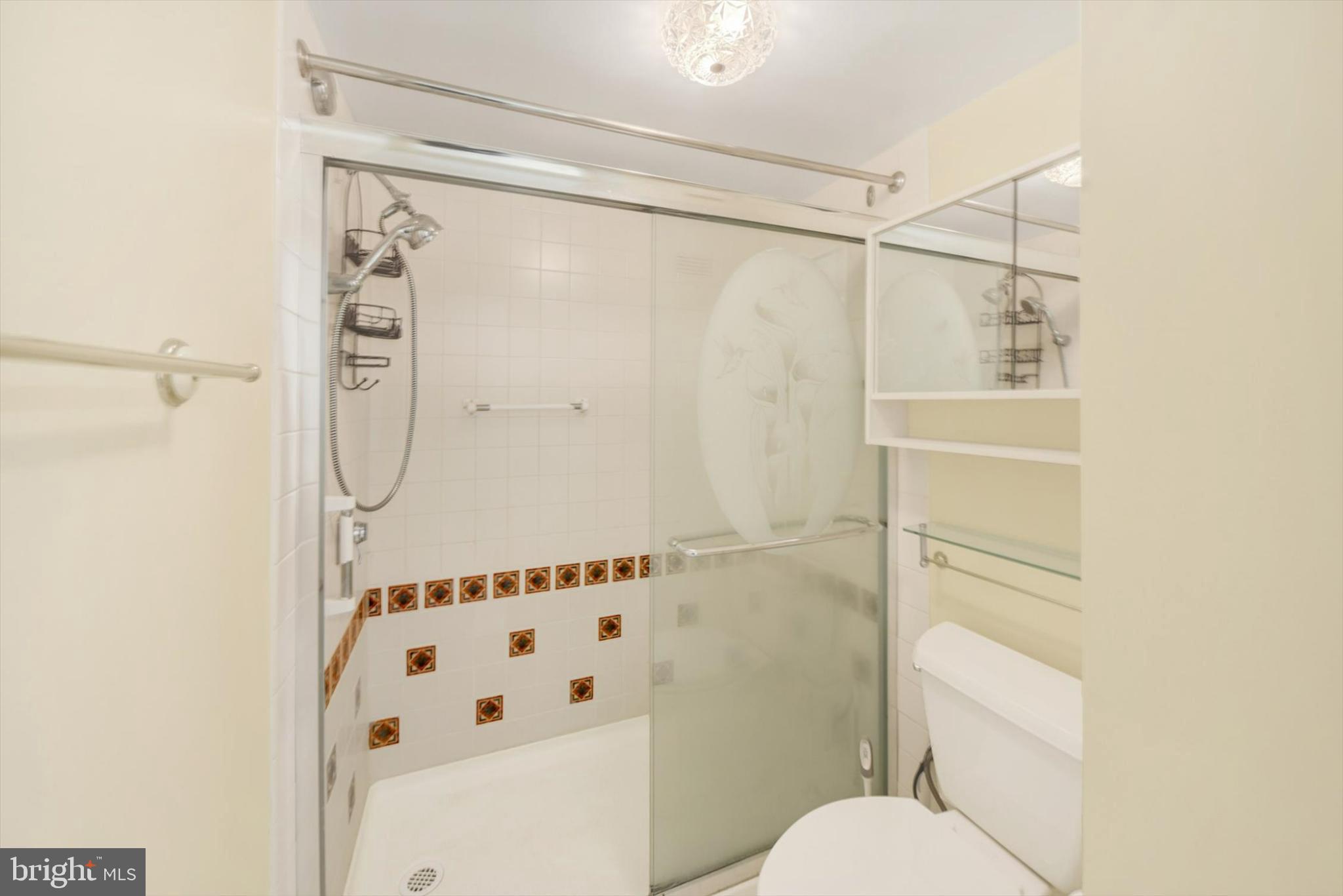 205 East Joppa Road, Unit 1604 Towson, MD 21286 - Photo 16 of 19 Modern bathroom with elegant glass shower.