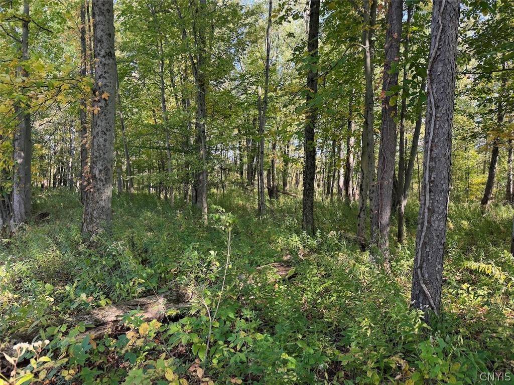 4758 Brown Road Conewango Valley, NY 14726 - Photo 46 of 50 Gallery Image 46