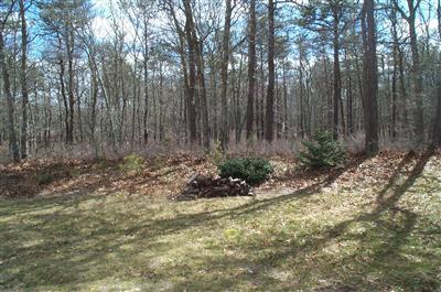 84 Stub Toe Road Cotuit, MA 02635 - Photo 8 of 9 Additional Photo