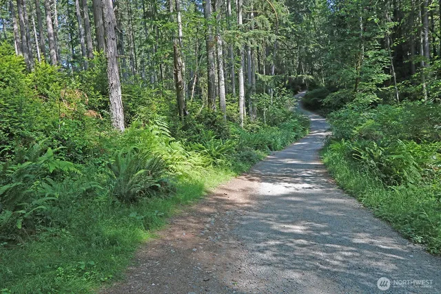 a view of a yard with plants and a small yard