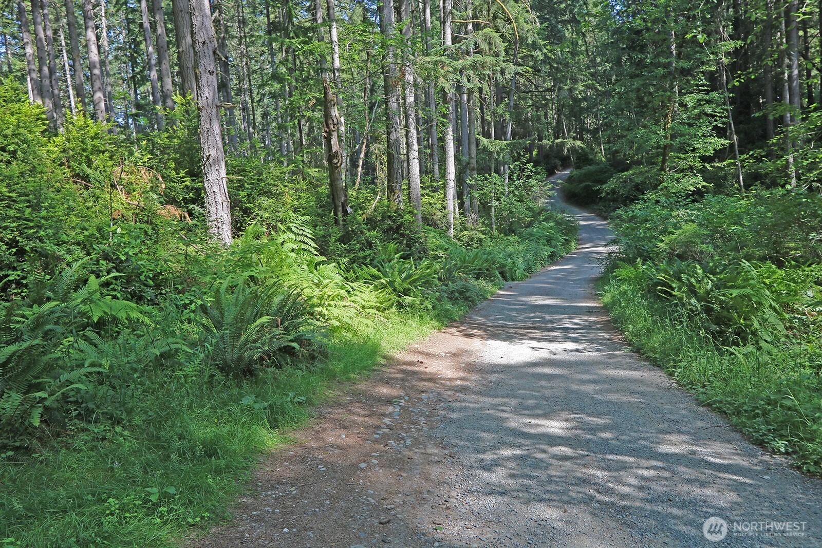 20825 Old Mill Road Southwest Vashon, WA 98070 - Photo 1 of 11 a view of a yard with plants and a small yard