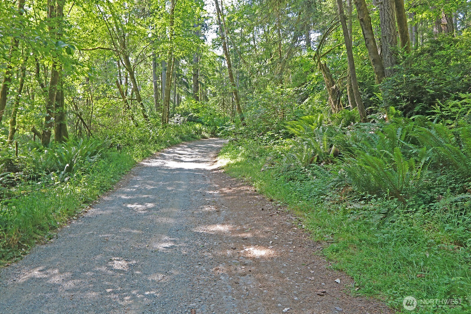20825 Old Mill Road Southwest Vashon, WA 98070 - Photo 2 of 11 a view of a street with a yard