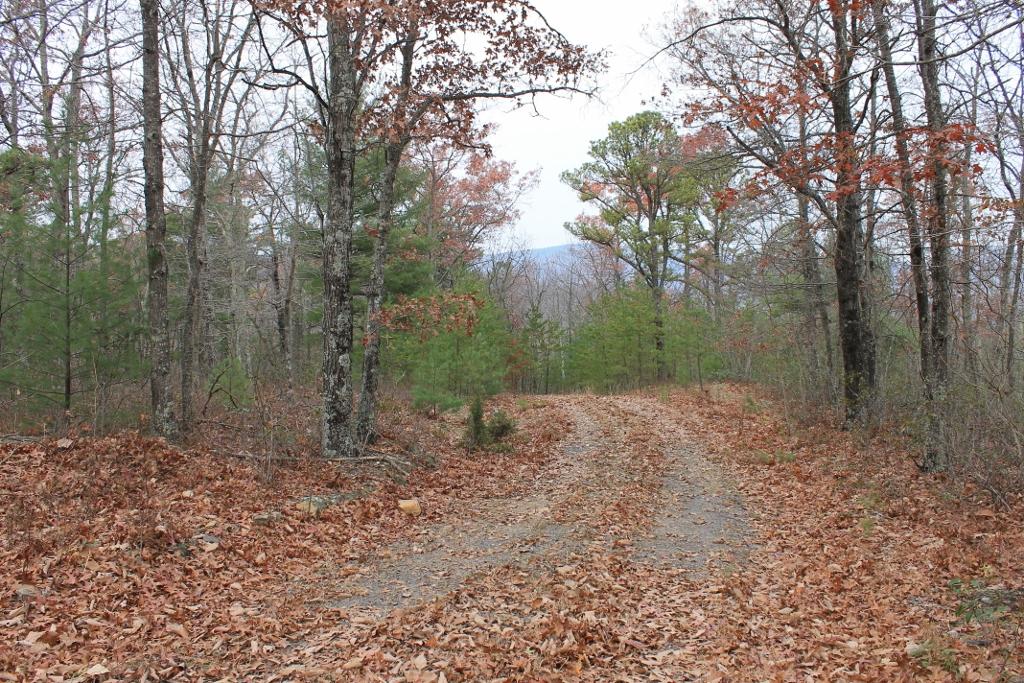 293 Jonestown Road Covington, VA 24426 - Photo 8 of 20 North ridge top