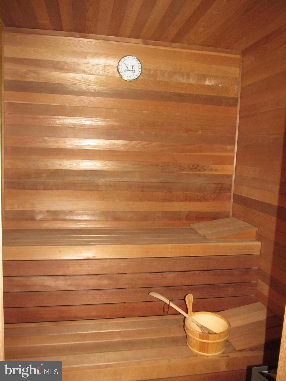 1917 Hidden Point Road Annapolis, MD 21409 - Photo 28 of 30 In home sauna