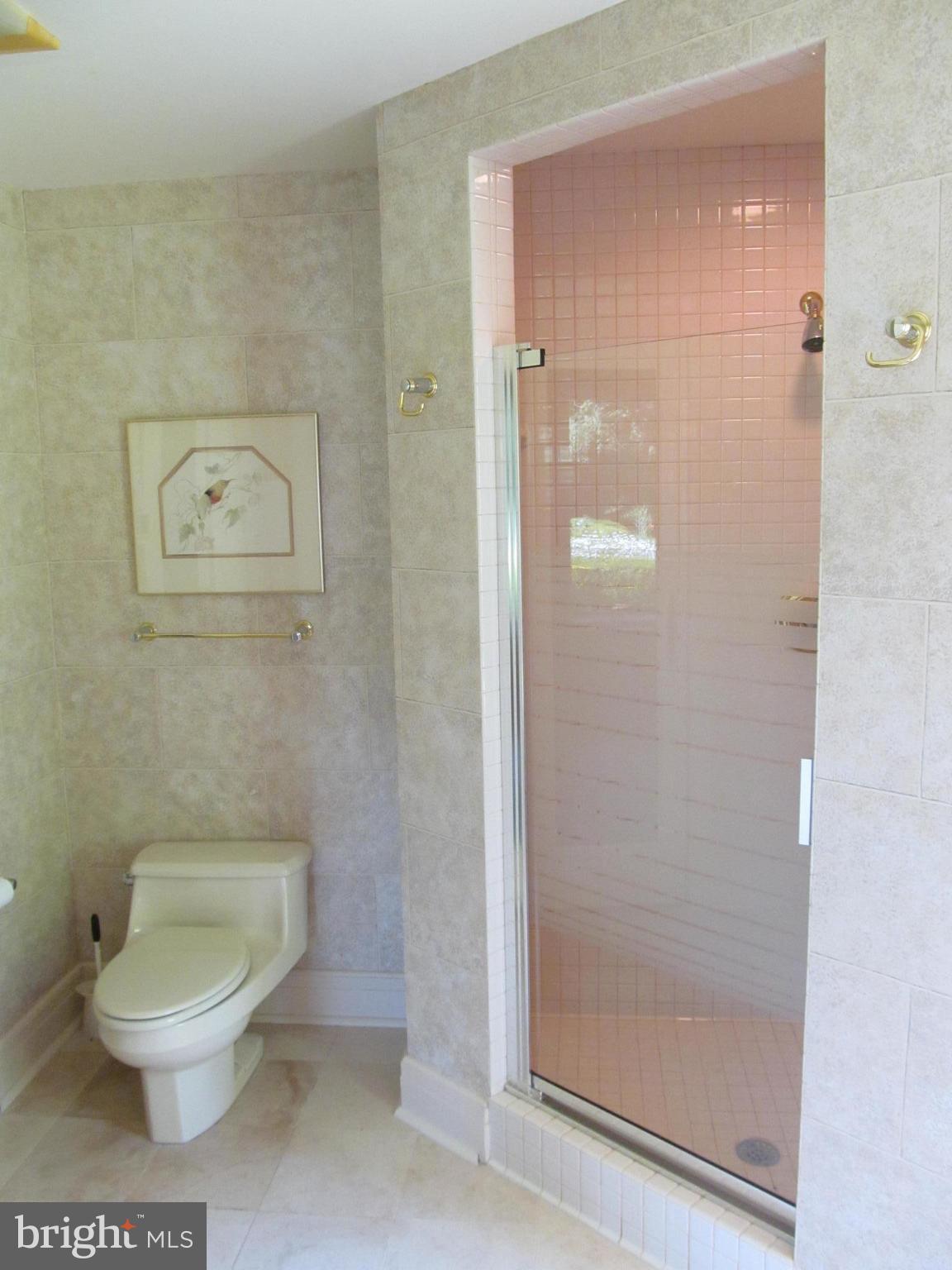 1917 Hidden Point Road Annapolis, MD 21409 - Photo 29 of 30 Private Sauna