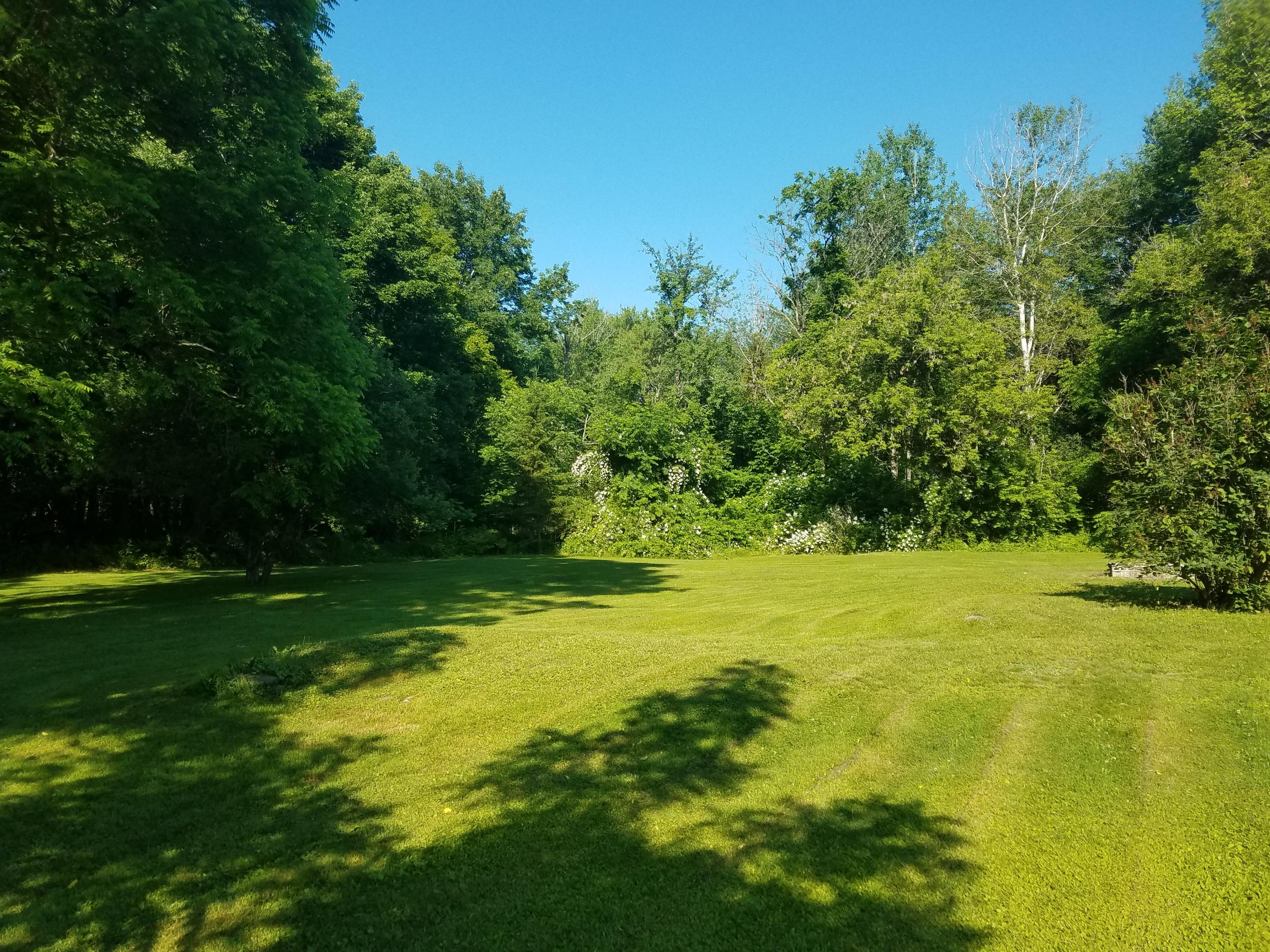 04. Backyard