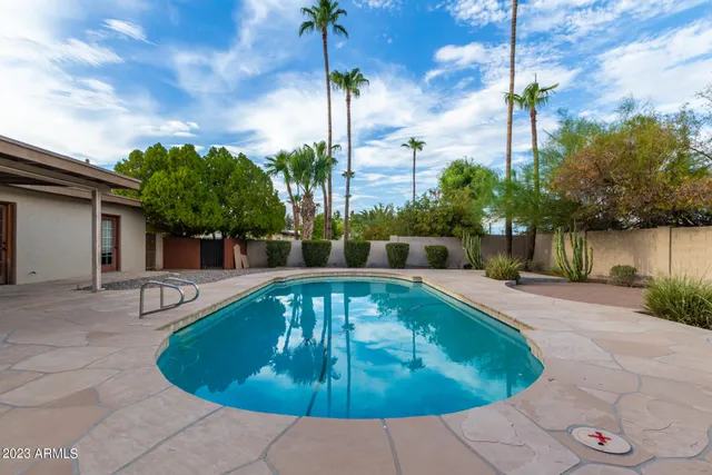 a view of a backyard with plants and palm trees