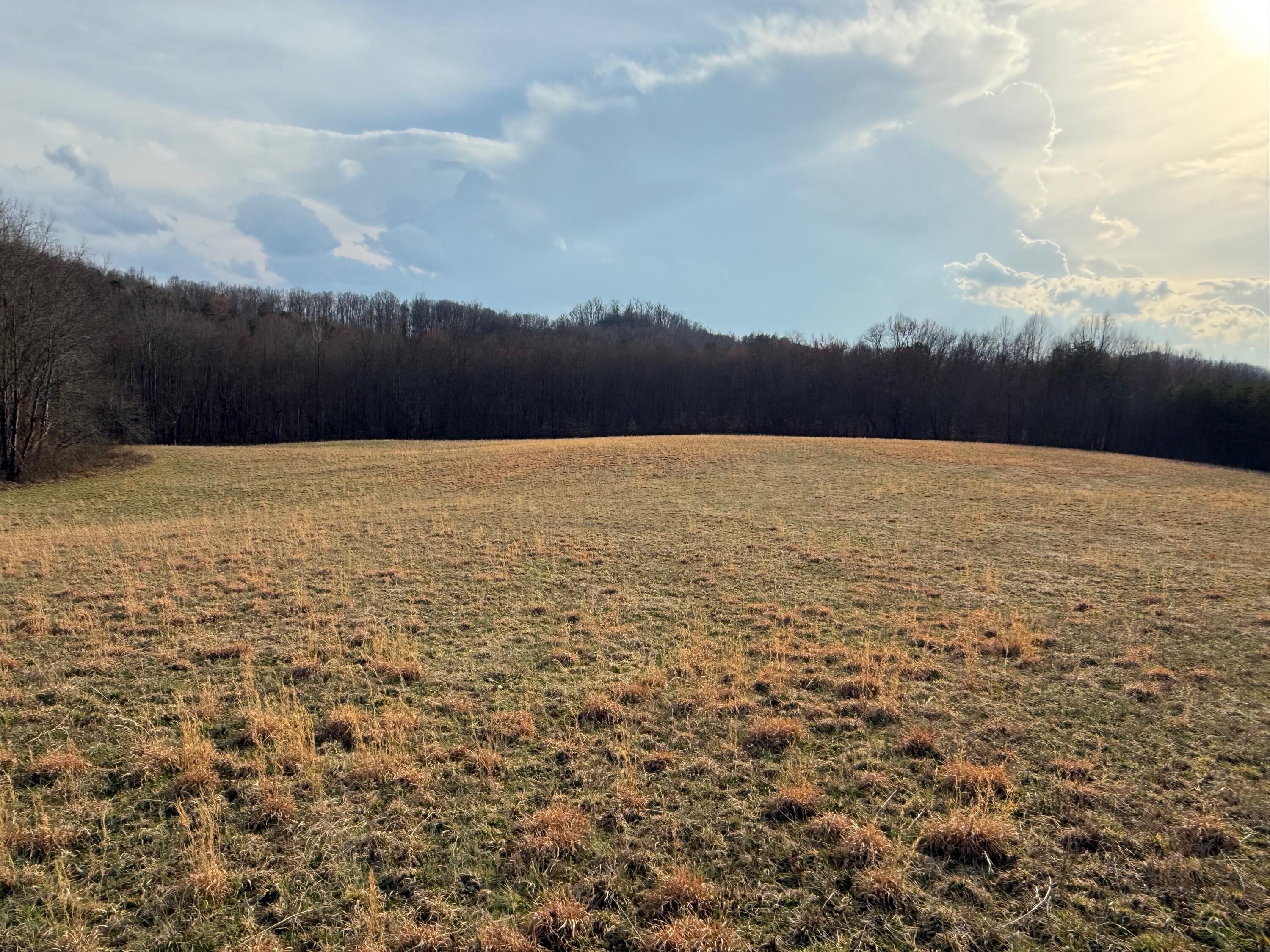 0 Westerfield Road London, KY 40744 - Photo 22 of 23 IMG_0046