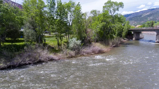 a view of a forest with trees