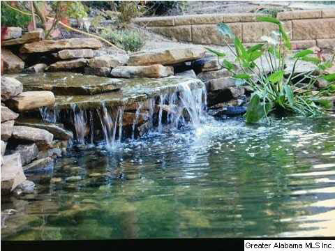174 River Birch Road Chelsea, AL 35043 - Photo 1 of 19
