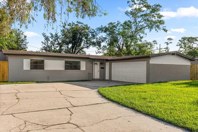 a view of a backyard with a large tree