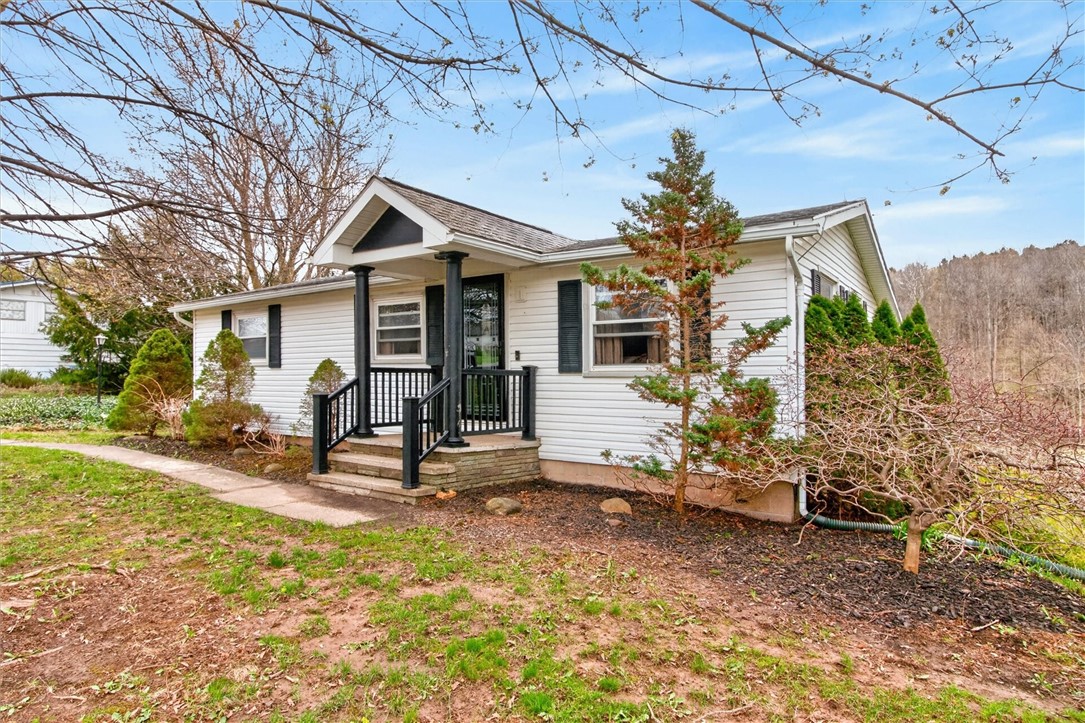 1920 Maple Street Road Lyons, NY 14489 - Photo 3 of 31