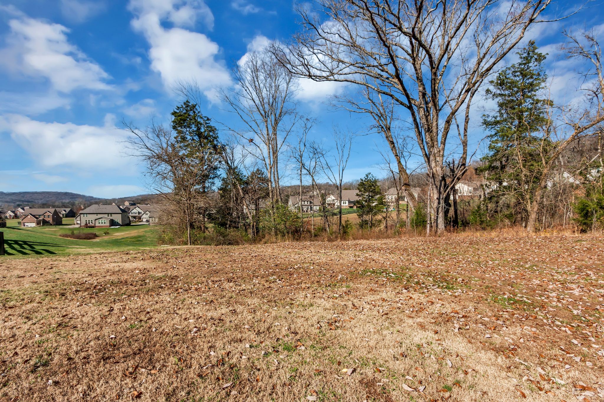 6930 Wellsford Lane College Grove, TN 37046 - Photo 38 of 44 a view of a yard with plants and trees
