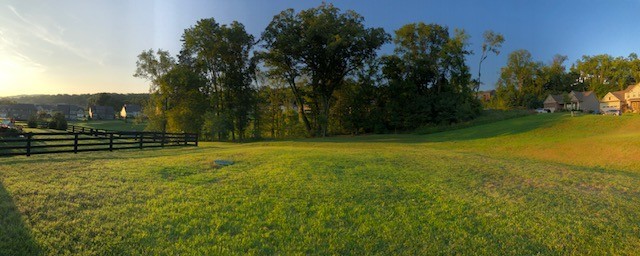 6930 Wellsford Lane College Grove, TN 37046 - Photo 42 of 44 a view of a yard