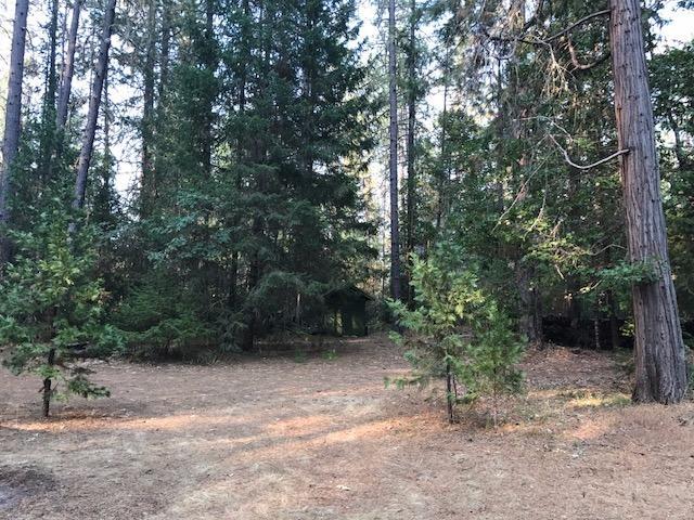 740 Pleasant Creek Road Rogue River, OR 97537 - Photo 12 of 15 Additional Photo