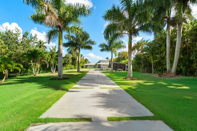 a park with palm trees