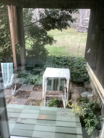 a view of a yard with large trees