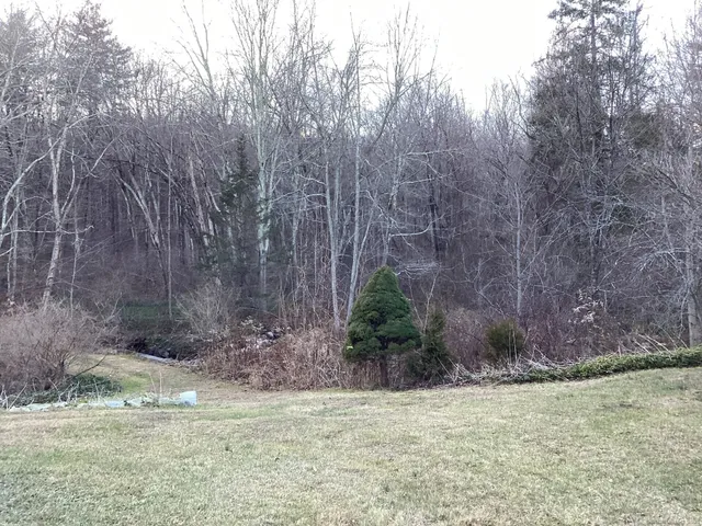 a view of a small house