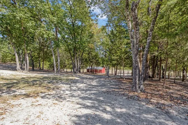 a view of a park with large trees