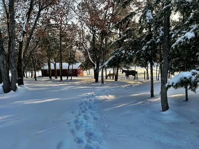 a view of a pool with a yard