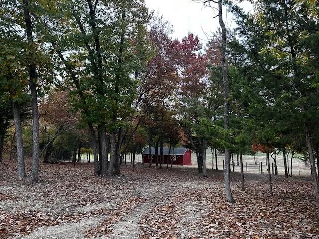 a view of road with trees