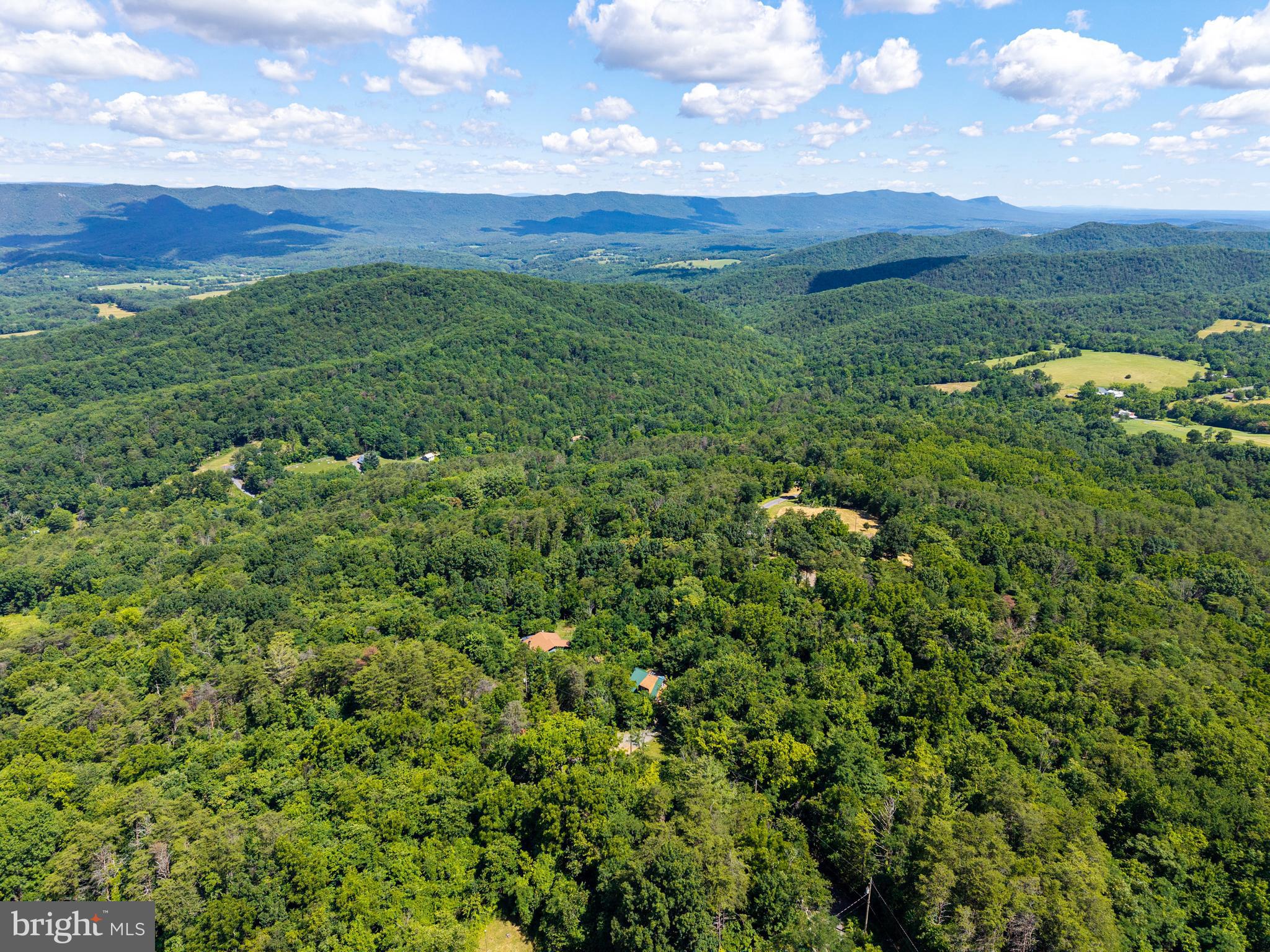 707 Overlook Drive Rileyville, VA 22650 - Photo 85 of 94
