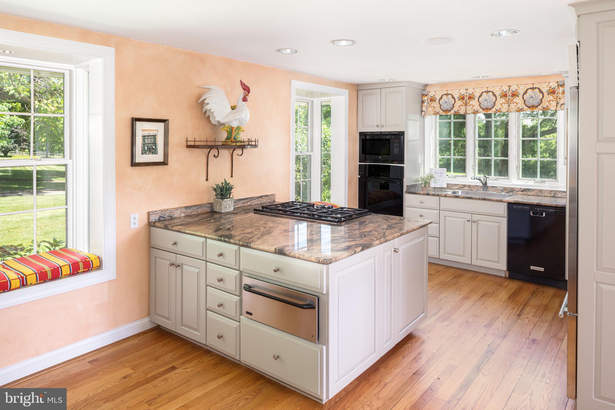 137 Davis Road Malvern, PA 19355 - Photo 20 of 61 Kitchen