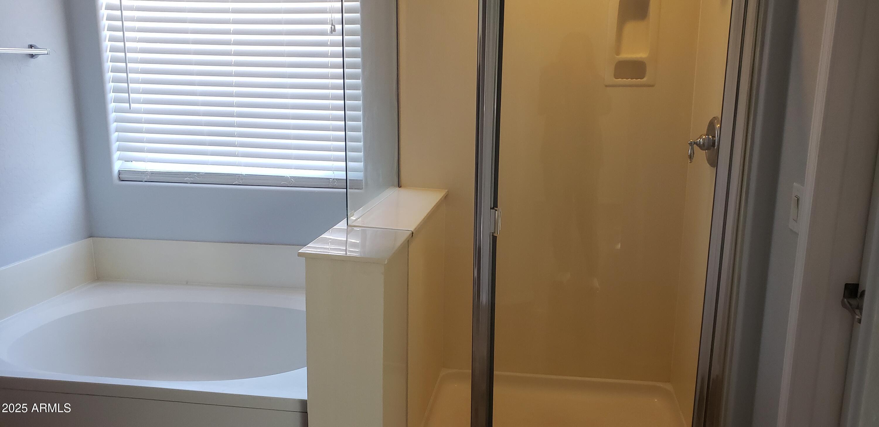 4631 West Shumway Farm Road Laveen, AZ 85339 - Photo 14 of 16 a bathroom with a bathtub