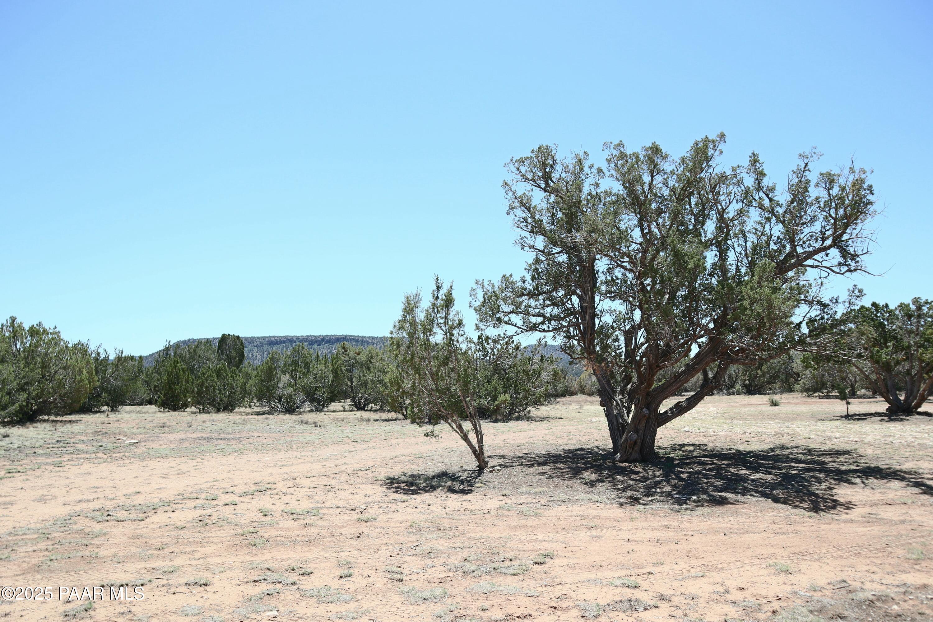 8850 West Fountain Ranch Road Ash Fork, AZ 86320 - Photo 25 of 29 a view of outdoor space with trees