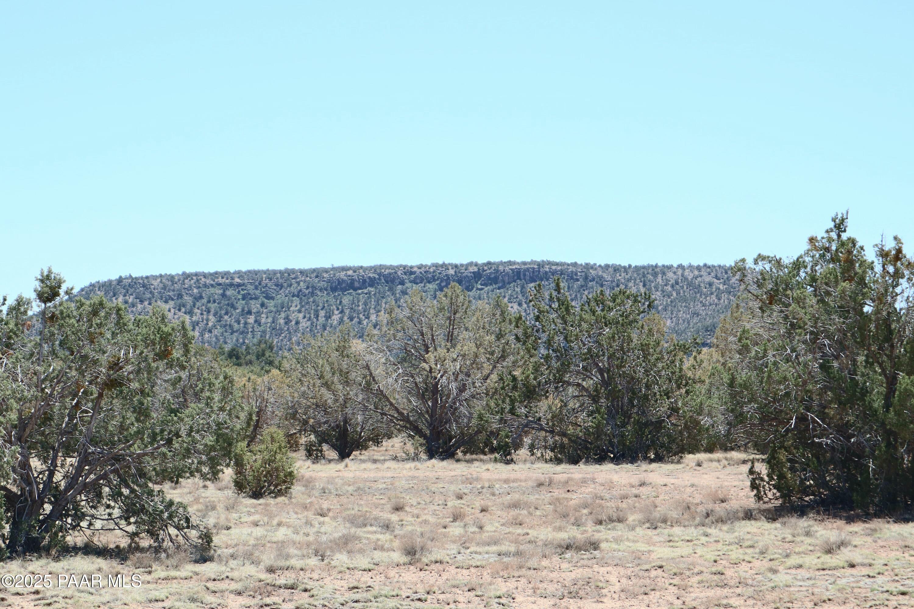8850 West Fountain Ranch Road Ash Fork, AZ 86320 - Photo 27 of 29 a view of outdoor space yard and mountain