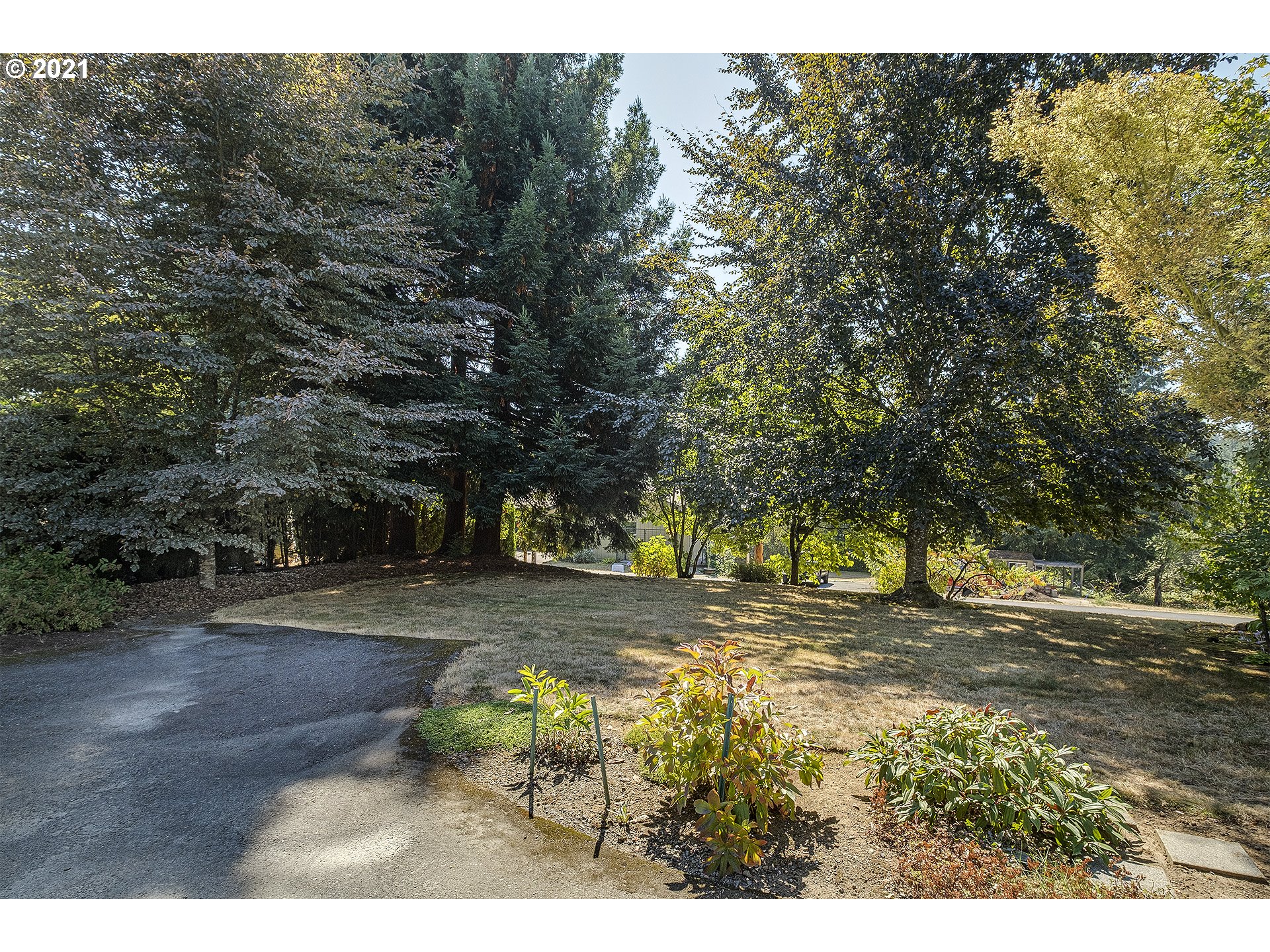 37640 Sandy Heights Street Sandy, OR 97055 - Photo 3 of 26 Front Yard