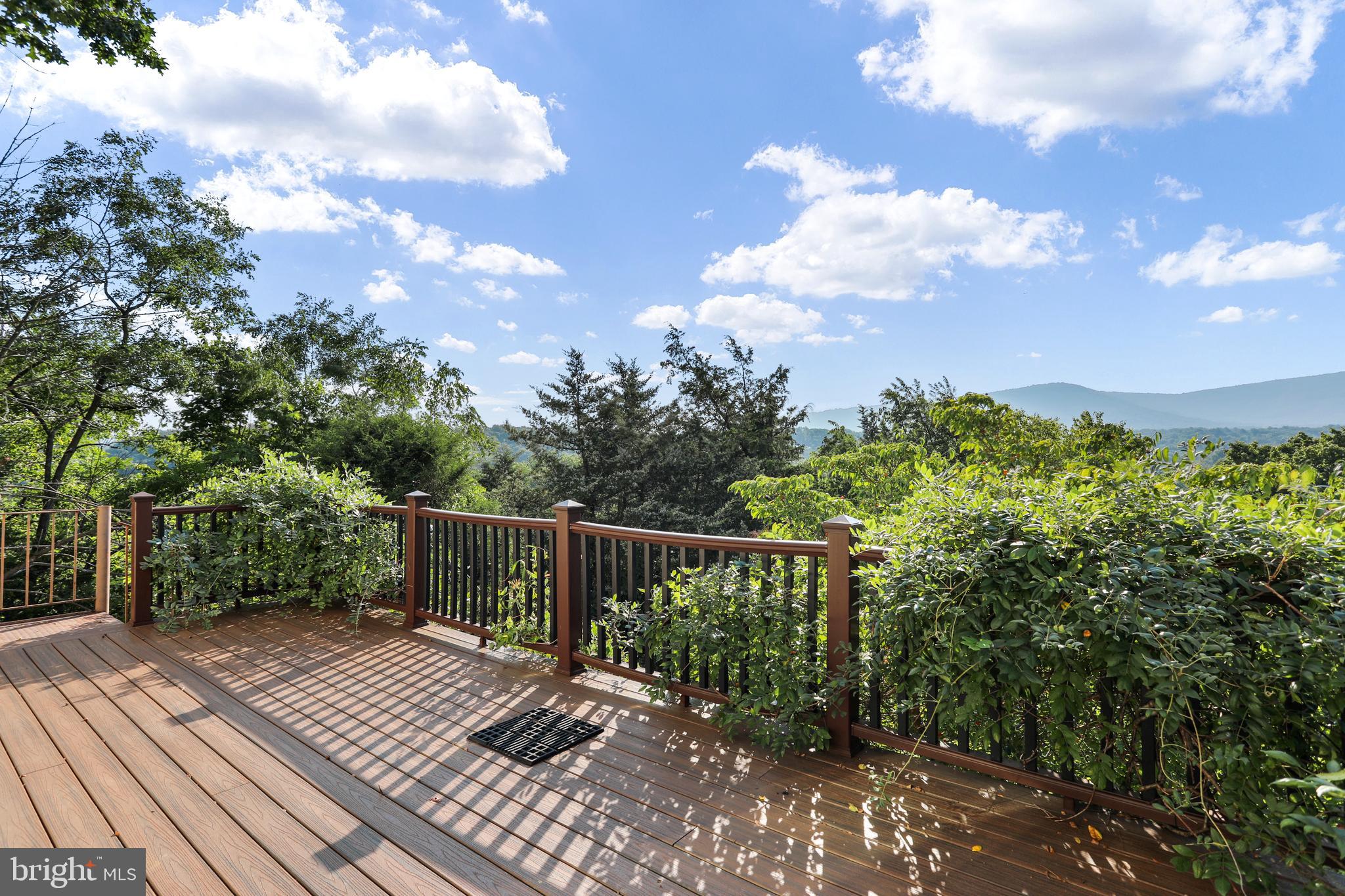 14 Martin Road Front Royal, VA 22630 - Photo 11 of 52 Deck view off living room