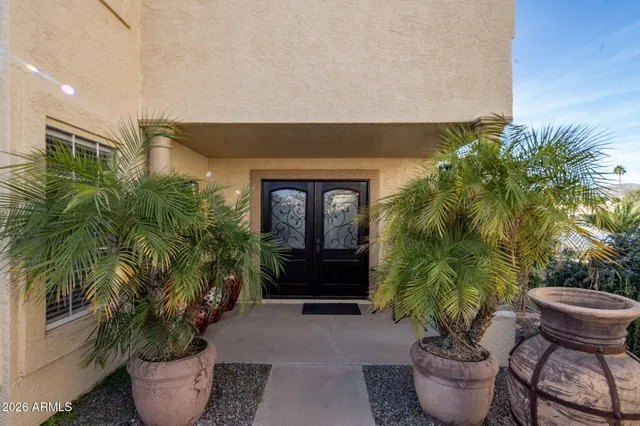 a potted plant sitting in front of a house