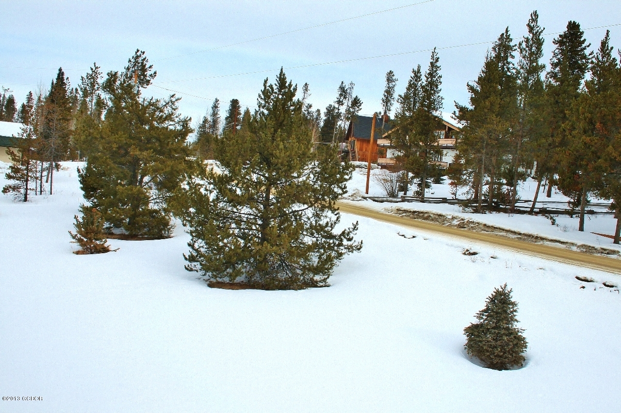 444 Co Road, Unit 3011 Fraser, CO 80442 - Photo 33 of 55 View from Back
