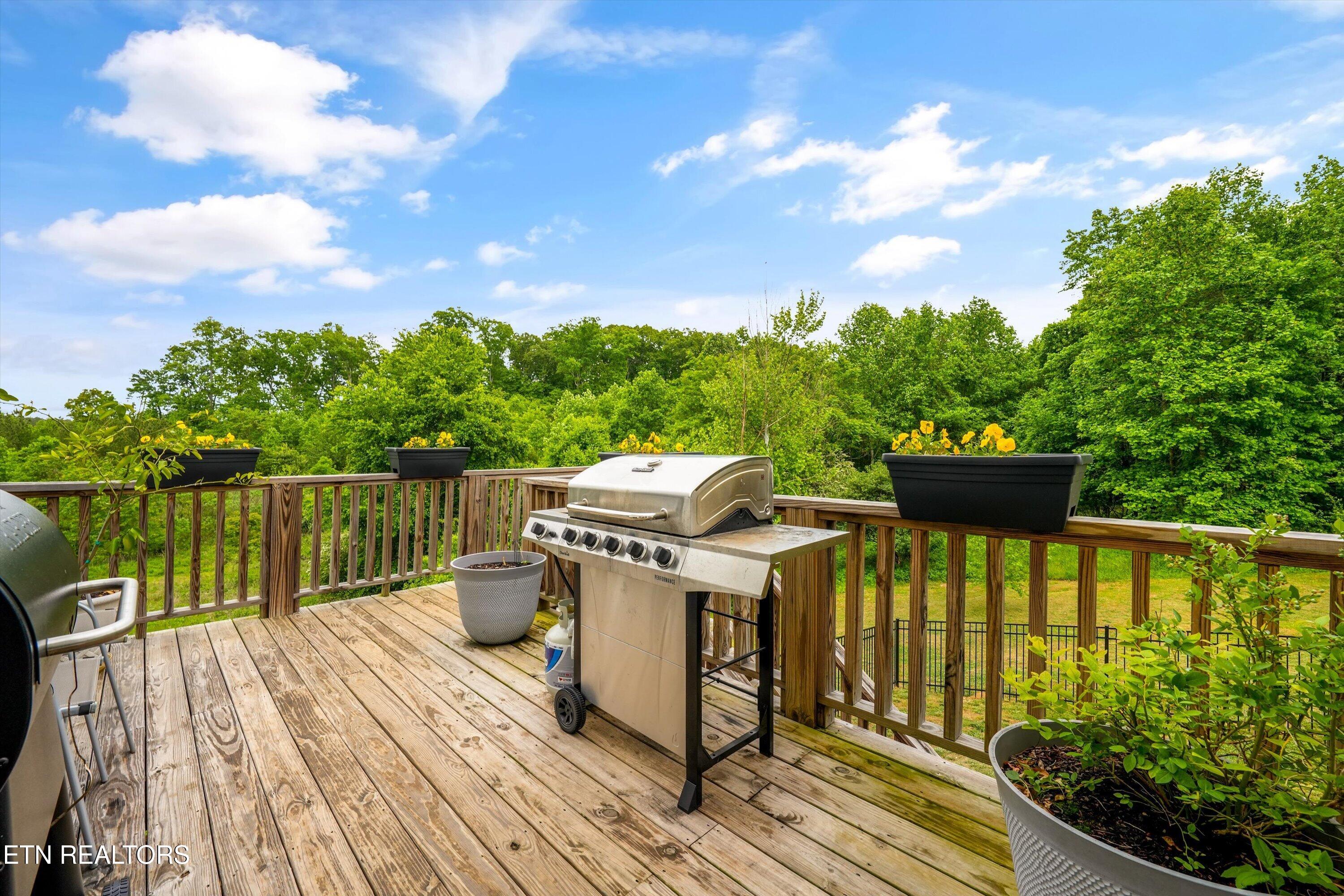 138 Pineberry East Road Oak Ridge, TN 37830 - Photo 19 of 58 44-138 Pineberry East Rd37