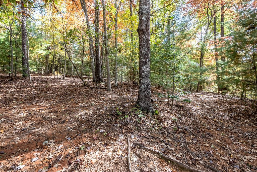 171 Caney Creek Road Murphy, NC 28906 - Photo 45 of 60