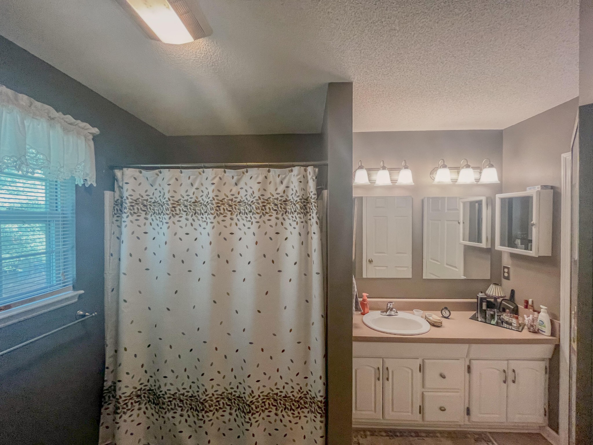 1972 Southeast Hunt Road Cleveland, TN 37323 - Photo 12 of 25 a bathroom with a sink a toilet and shower
