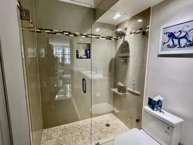 a bathroom with a shower and a toilet