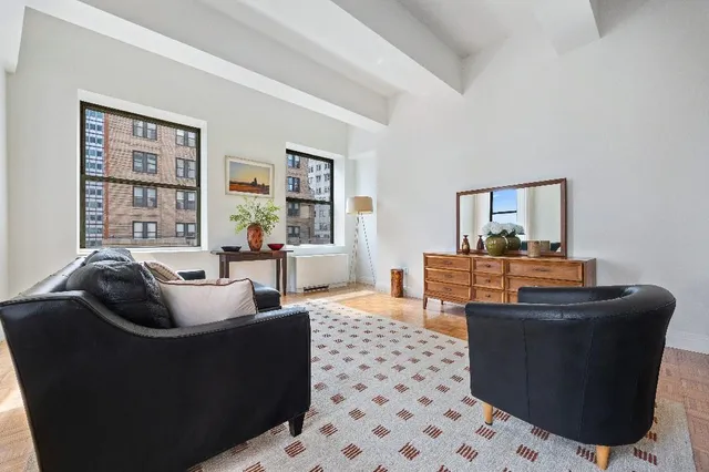 a living room with furniture and a potted plant