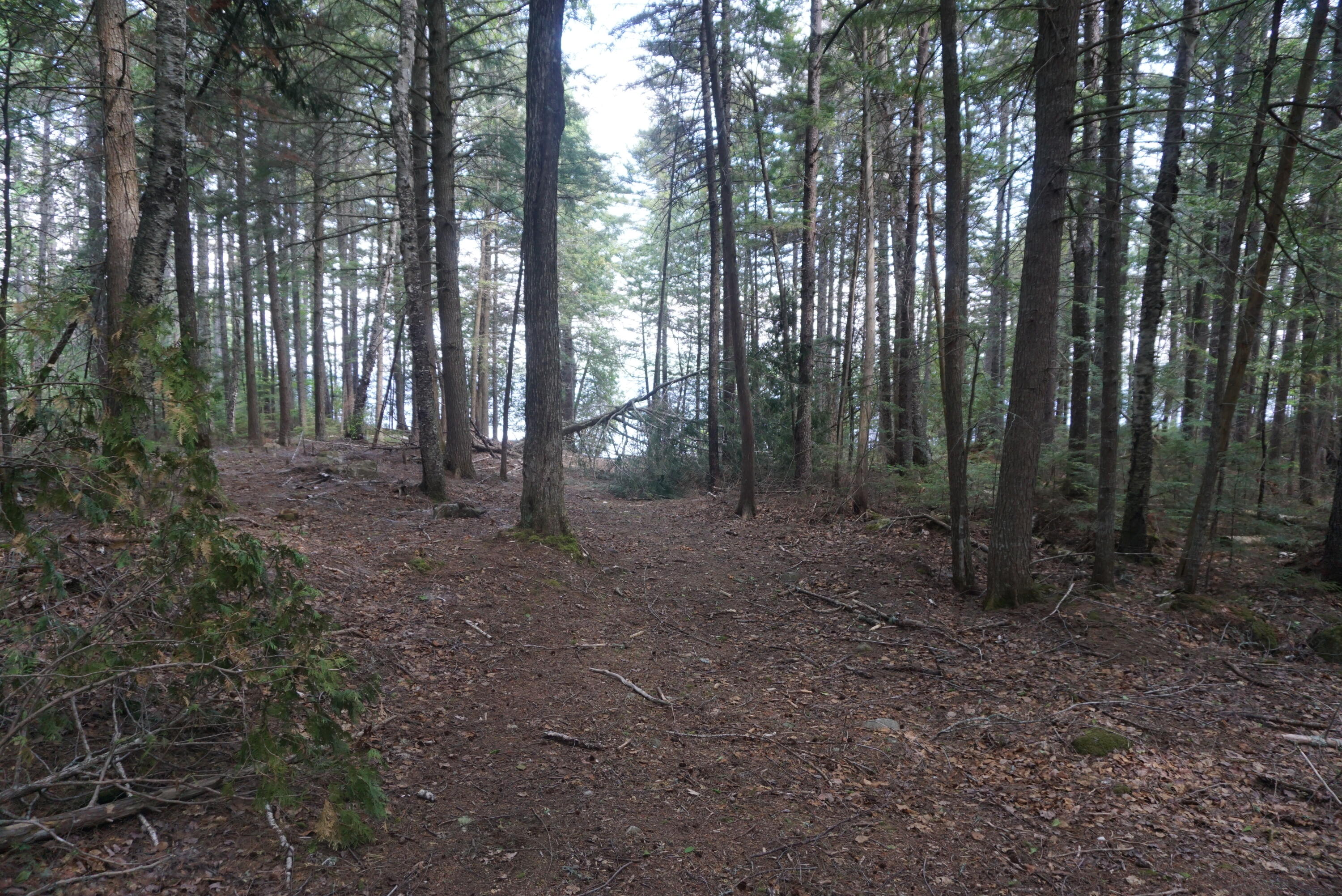 1.3 Evergreen Point Road Beaver Cove, ME 04441 - Photo 18 of 29 D86777FB-CD09-401C-8F12-829E3980DFF3