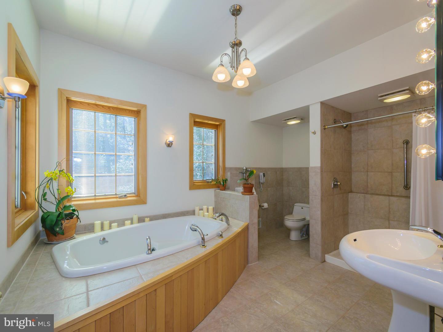 300 Hances Point Road North East, MD 21901 - Photo 16 of 30 Bath (Master)