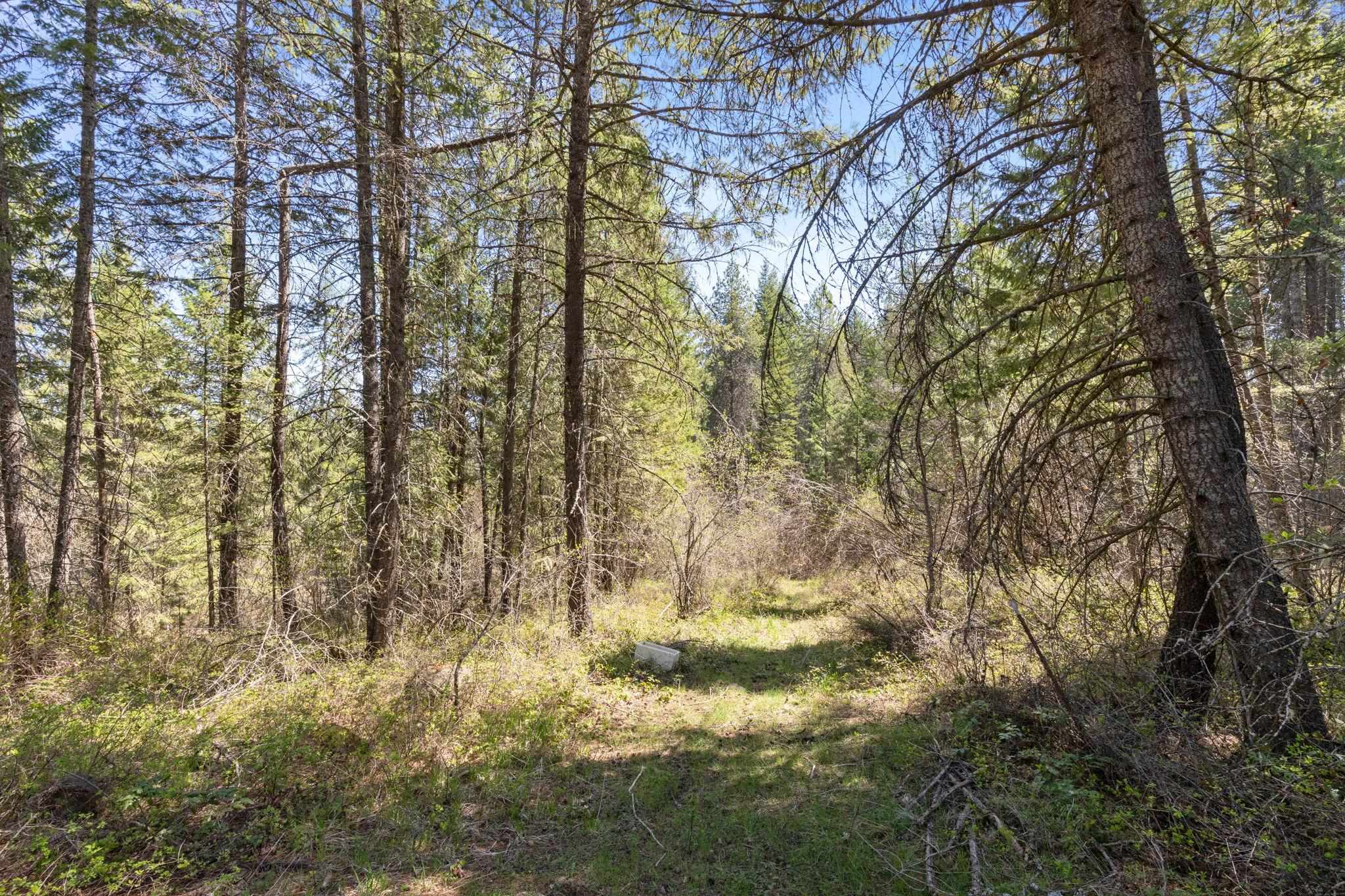 4112 Lumberg Road Springdale, WA 99173 - Photo 1 of 12