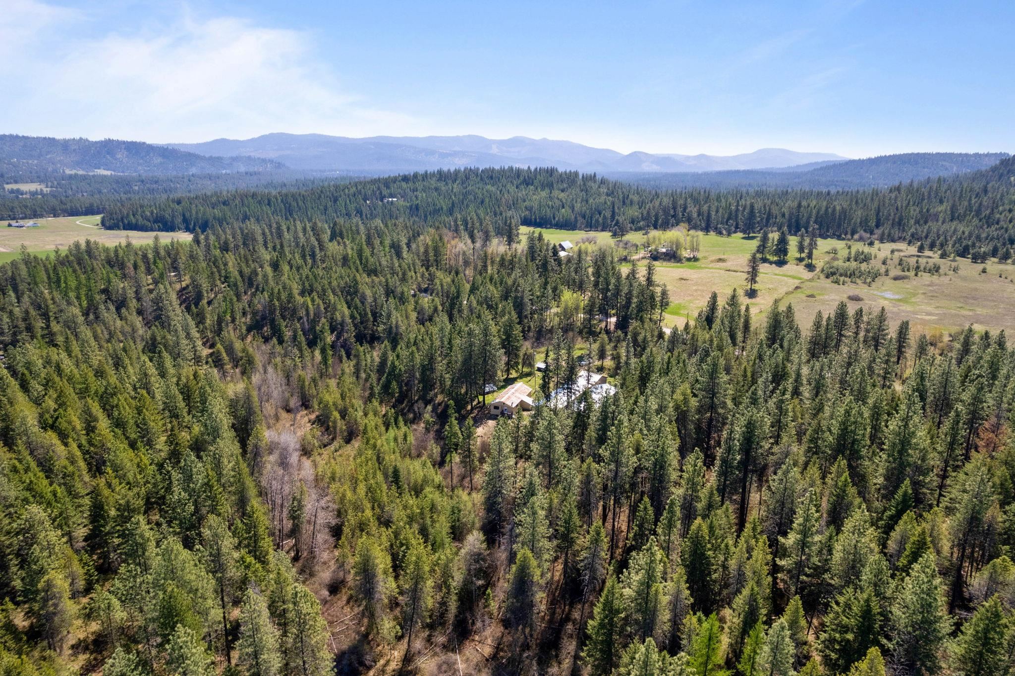 4112 Lumberg Road Springdale, WA 99173 - Photo 3 of 12