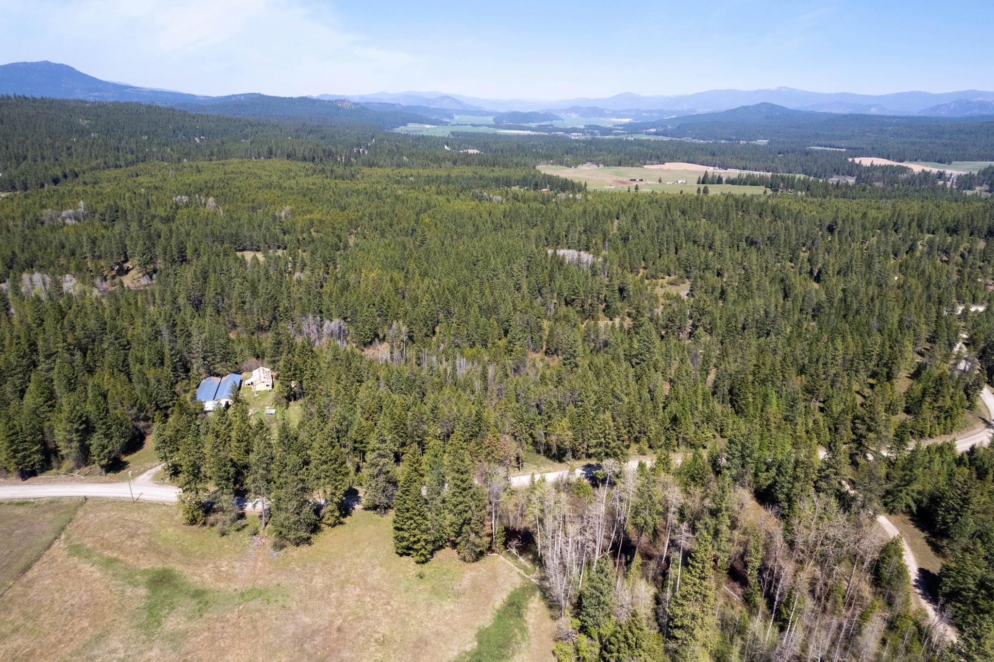 4112 Lumberg Road Springdale, WA 99173 - Photo 4 of 12