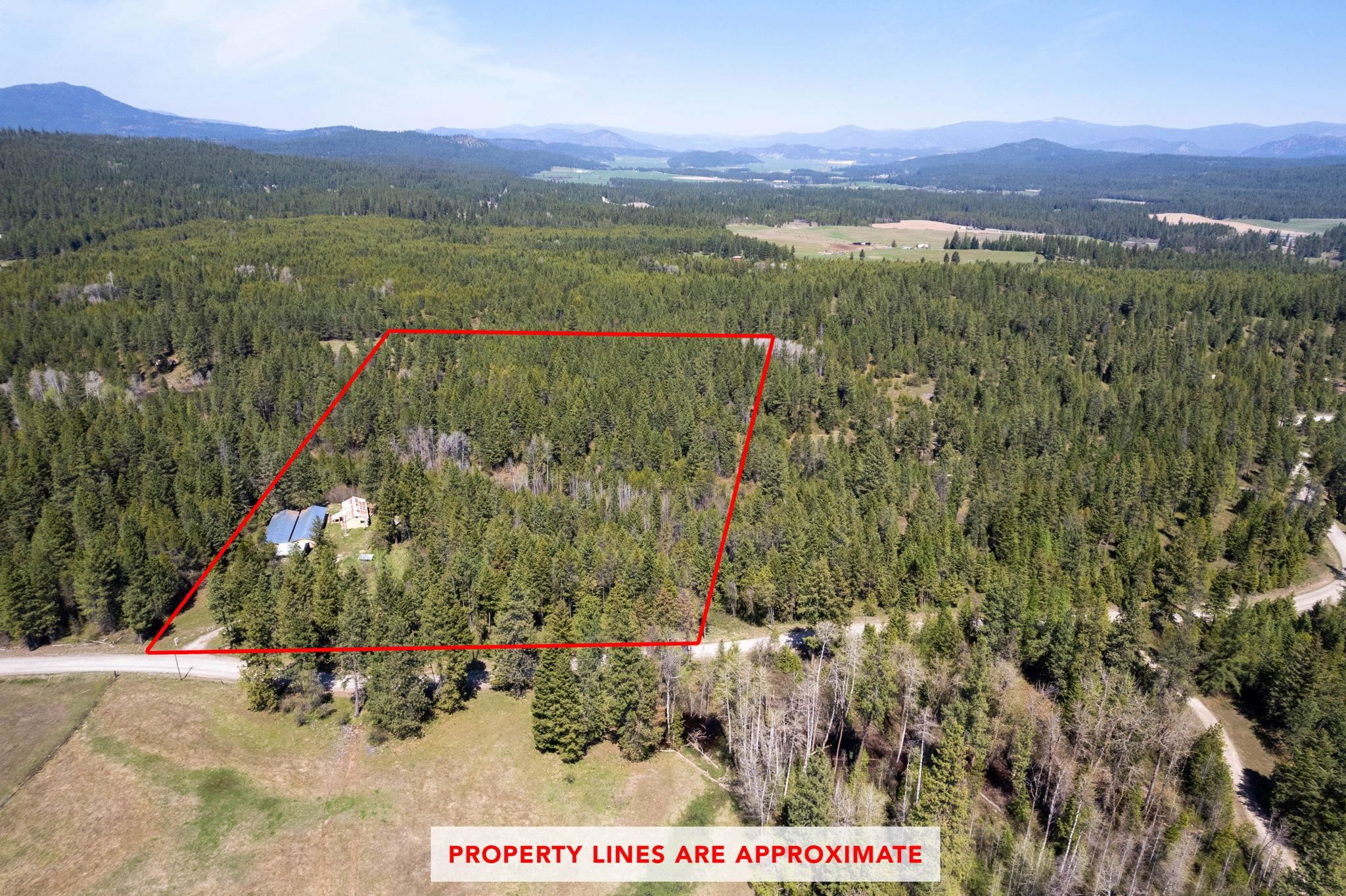 4112 Lumberg Road Springdale, WA 99173 - Photo 5 of 12