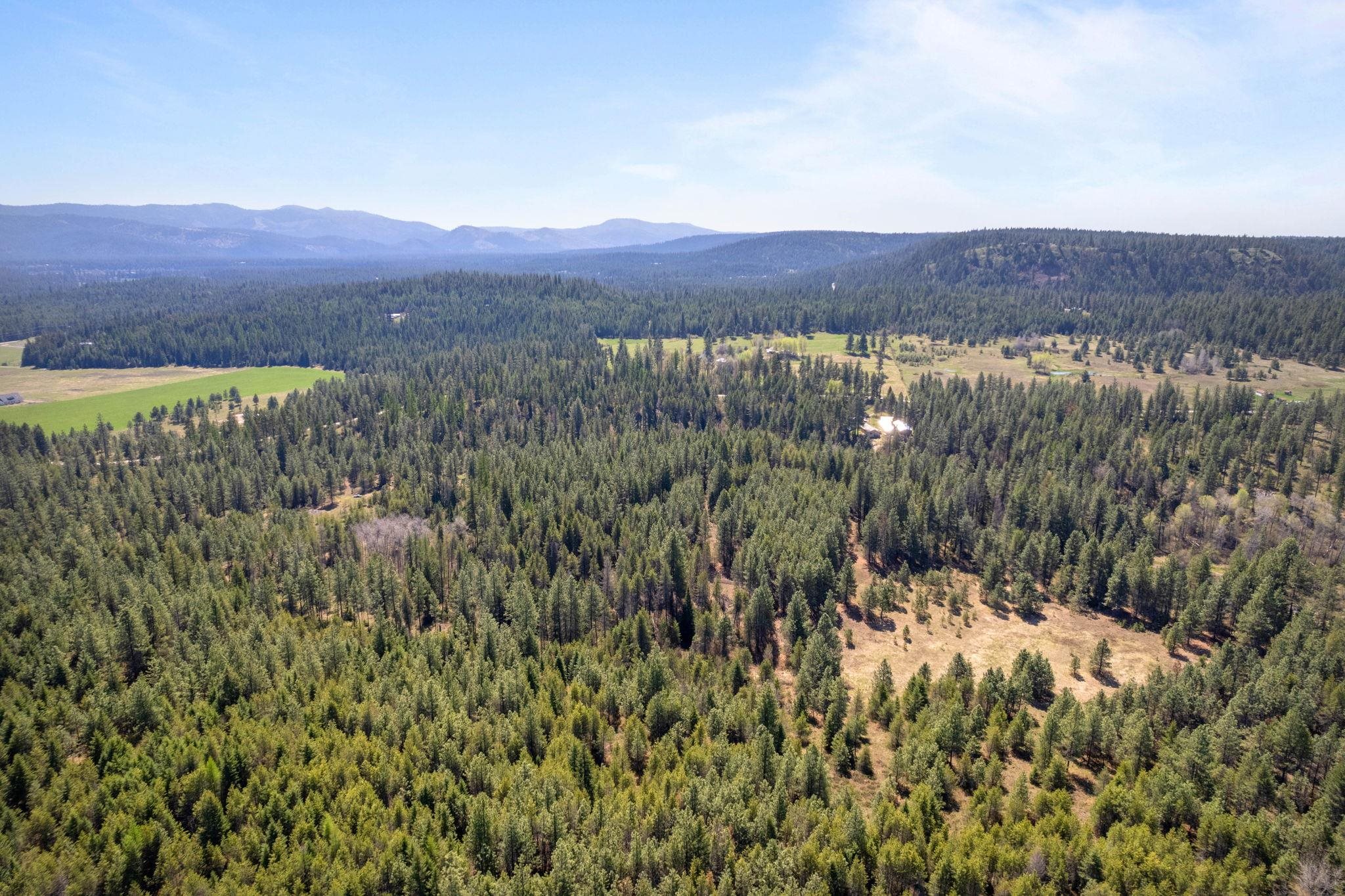 4112 Lumberg Road Springdale, WA 99173 - Photo 6 of 12
