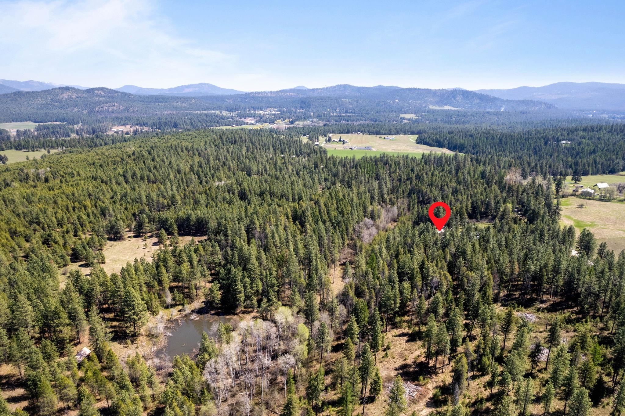 4112 Lumberg Road Springdale, WA 99173 - Photo 7 of 12