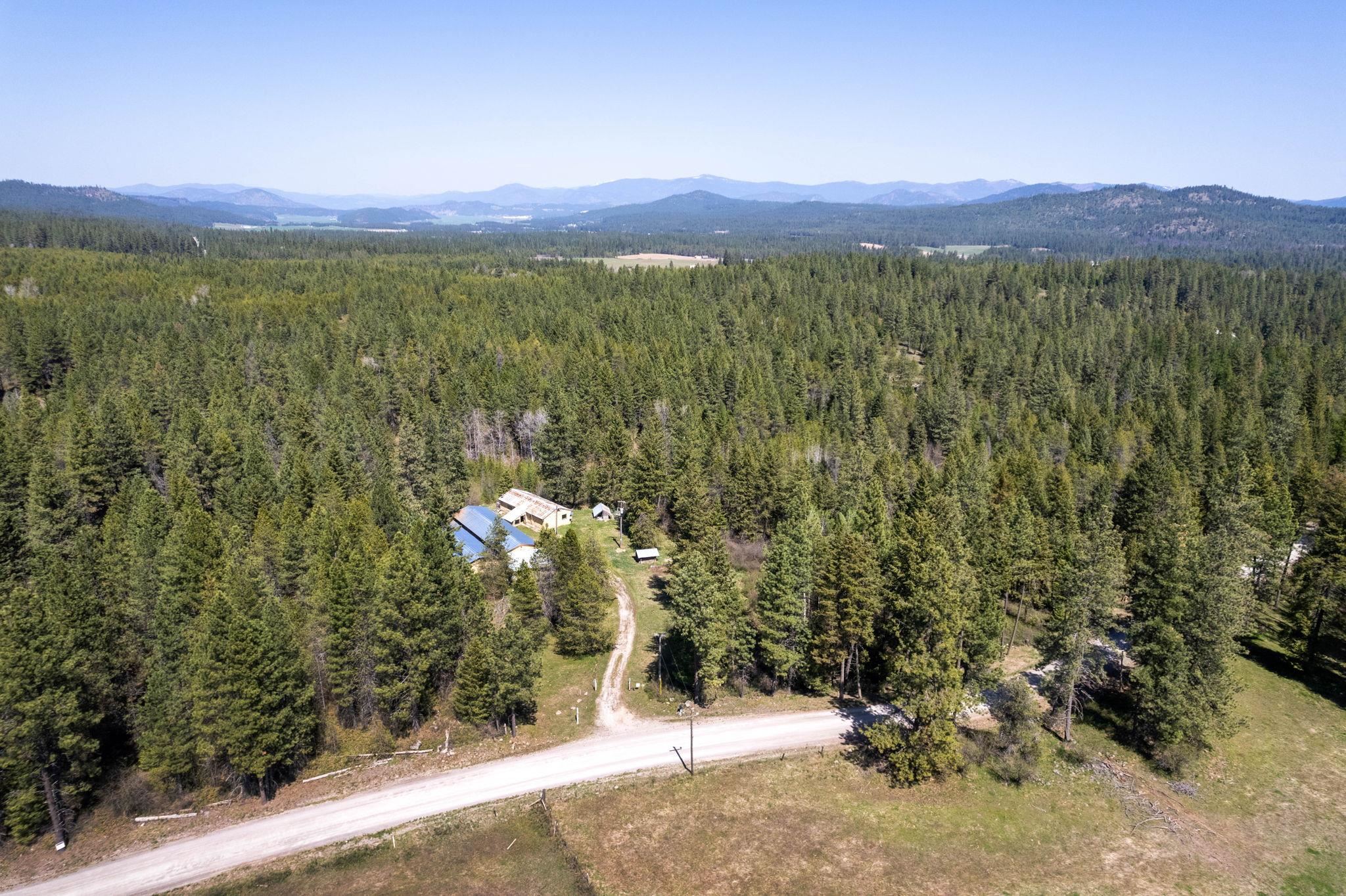 4112 Lumberg Road Springdale, WA 99173 - Photo 9 of 12